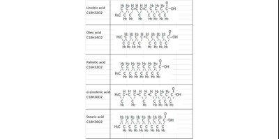 Desc 1 (Description Table 1)